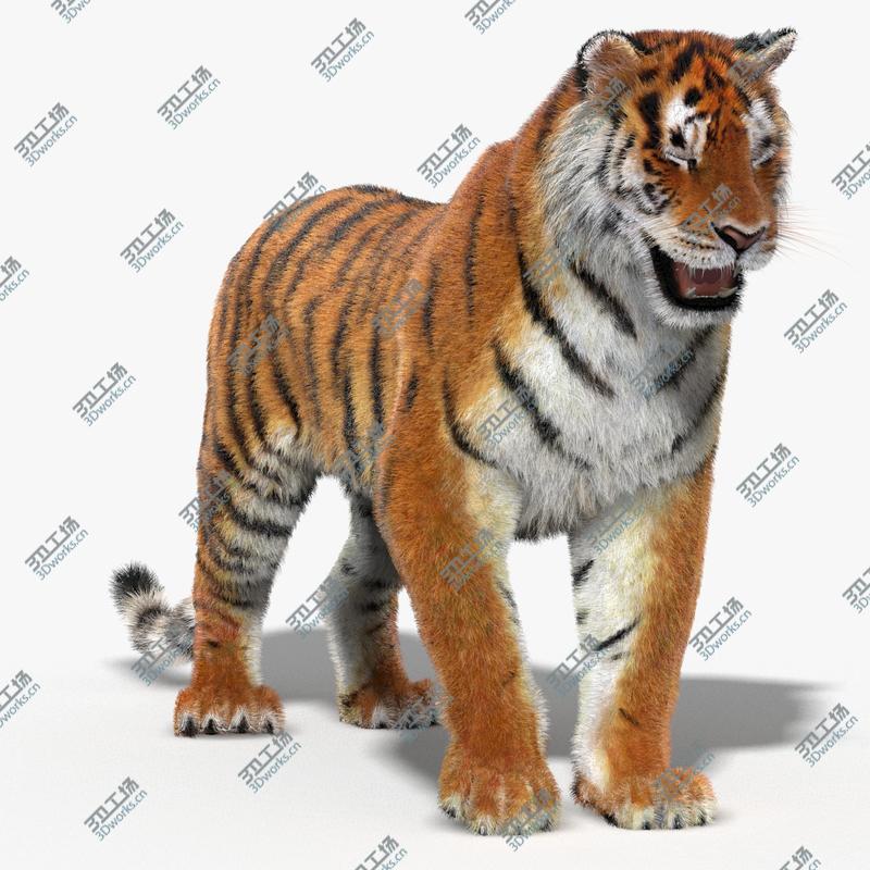 images/goods_img/20210319/Tiger (Rigged, Fur)/5.jpg